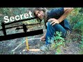 Secret Bushcraft Bow Drill Friction Fire Day 25 & 26 Of 30 Day Survival Challenge Canadian Rockies