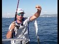 Trabucco TV - Pesca in Mare - Sabiki Fishing alla portata di tutti