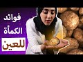 فوائد الكمأة الفقع في علاج الماء الابيض و امراض العين د ايمان الحمادي 