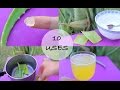 10 ways I use Aloe Vera! - Love this stuff!!