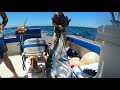 Giant bluefin tuna fishing auf der blue rampagealgarve bluefin part 1