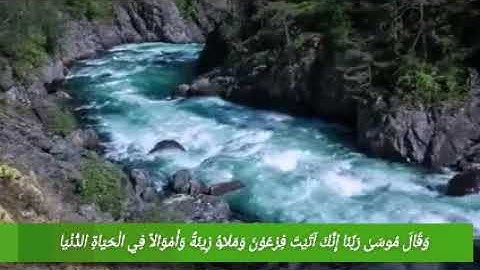 تلاوة من سورة يونس لأبي يحيى وليد الريدي