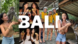 Download lagu A WEEK IN BALI | WAKE BOARDING, MONKEY FOREST, DOG SHELTER, BEST FOOD IN CANGGU (part 1)