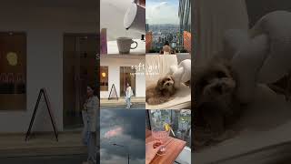 Soft girl summer diaries🪸 screenshot 2