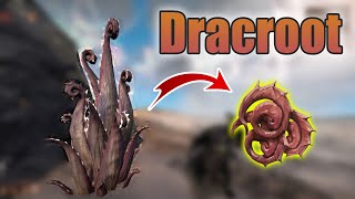 How to get Dracroot | Warframe Duviri Paradox