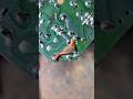 line pcb repair with wire #repair #pcb #line #electronic