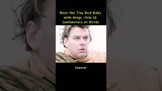 Meet the Tiny Bird Baby with Wings - Only 10 Centimeters at Birth!#movie #film #comedy #family