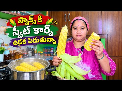 సాయంత్రం స్నాక్స్ కి స్వీట్ కార్న్ ఉడక పెడుతున్నా Vlog || షూటింగ్ వాడే ఫ్యాన్ ఇంట్లో ||@RJPT_VENKEY