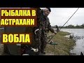 Рыбалка в Астрахани / Вобла / Уха на костре