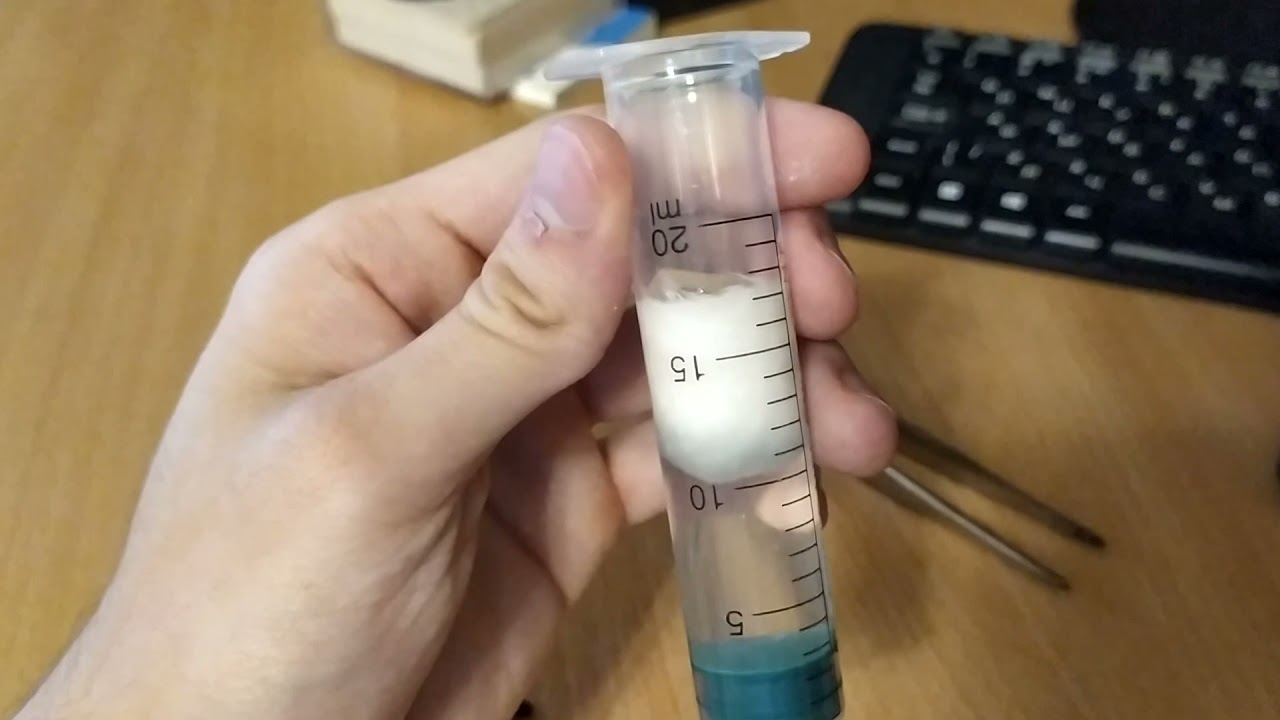 Инкубатор для оотек туркменского таракана