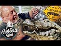 VORSICHT KROKODILE! | DER KAIMAN - NORBERTS LIEBLINGSTIER! | NORBERTS WELT | Zoo Zajac