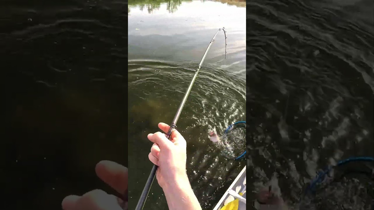 Crazy Excitement after this Pike Hammers the Lure!!! 