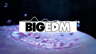 2LIVEMAFIA x 8onthebeat x Rizzla x BRAZZO - IMS | BIG EDM