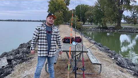 Trying out and Comparing Budget reels to an expensive reel