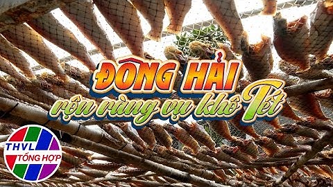 Nhịp sống đồng bằng: Đông Hải rộn ràng vụ khô tết