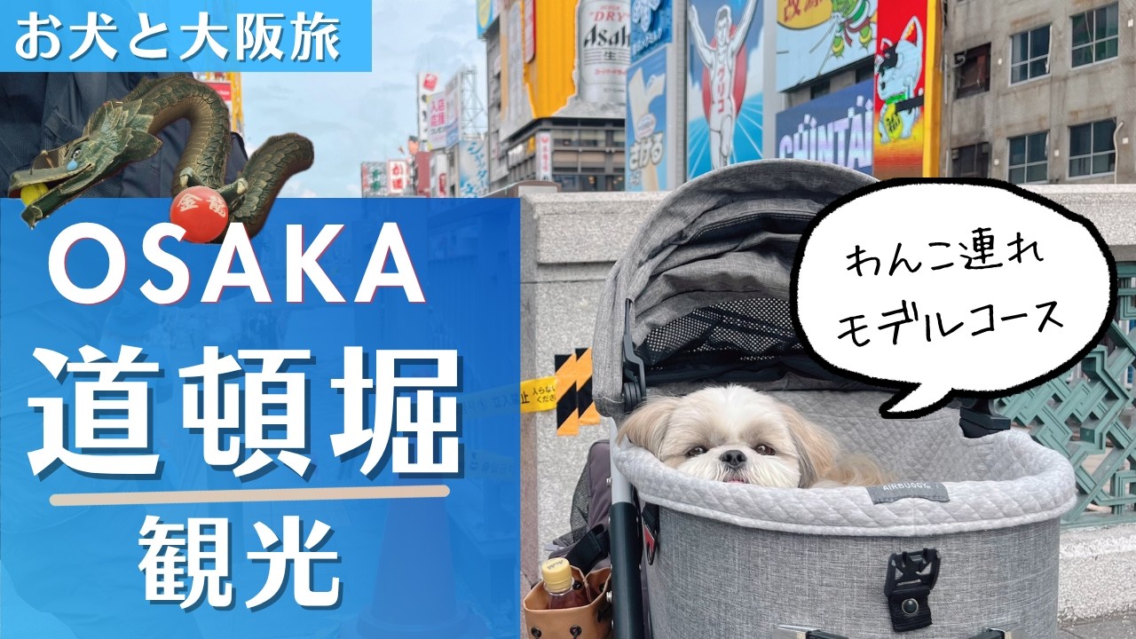 大阪旅行】シーズーとわんこ旅！わんこOKな道頓堀を満喫してきた 龍が