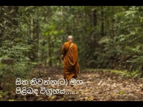 විමංසක සූත්‍රය - පටිච්ච සමුප්පාදය