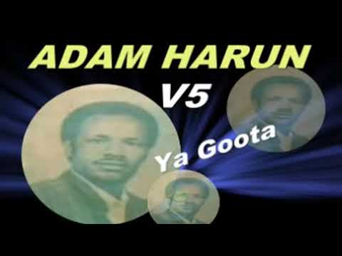 YA GOOTA GAMEYSA ADAM HARUN  Vol 5 LOVELY OLD OROMO GUITAR Full V