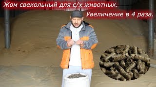ЖОМ СВЕКОЛЬНЫЙ ДЛЯ С/Х ЖИВОТНЫХ ЖОМ СВЕКОЛЬНЫЙ ДЛЯ С/Х ЖИВОТНЫХ