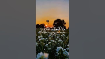 قُلْ يَا أَيُّهَا الْكَافِرُونَ،❤️اياتها براءة من الشرك تلاوة خشوع في قمة الجمال