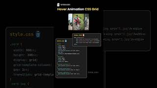 Hover CSS Animation with GRID