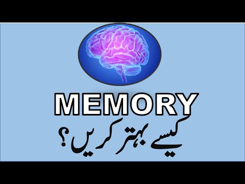 03 How to Study - Memory