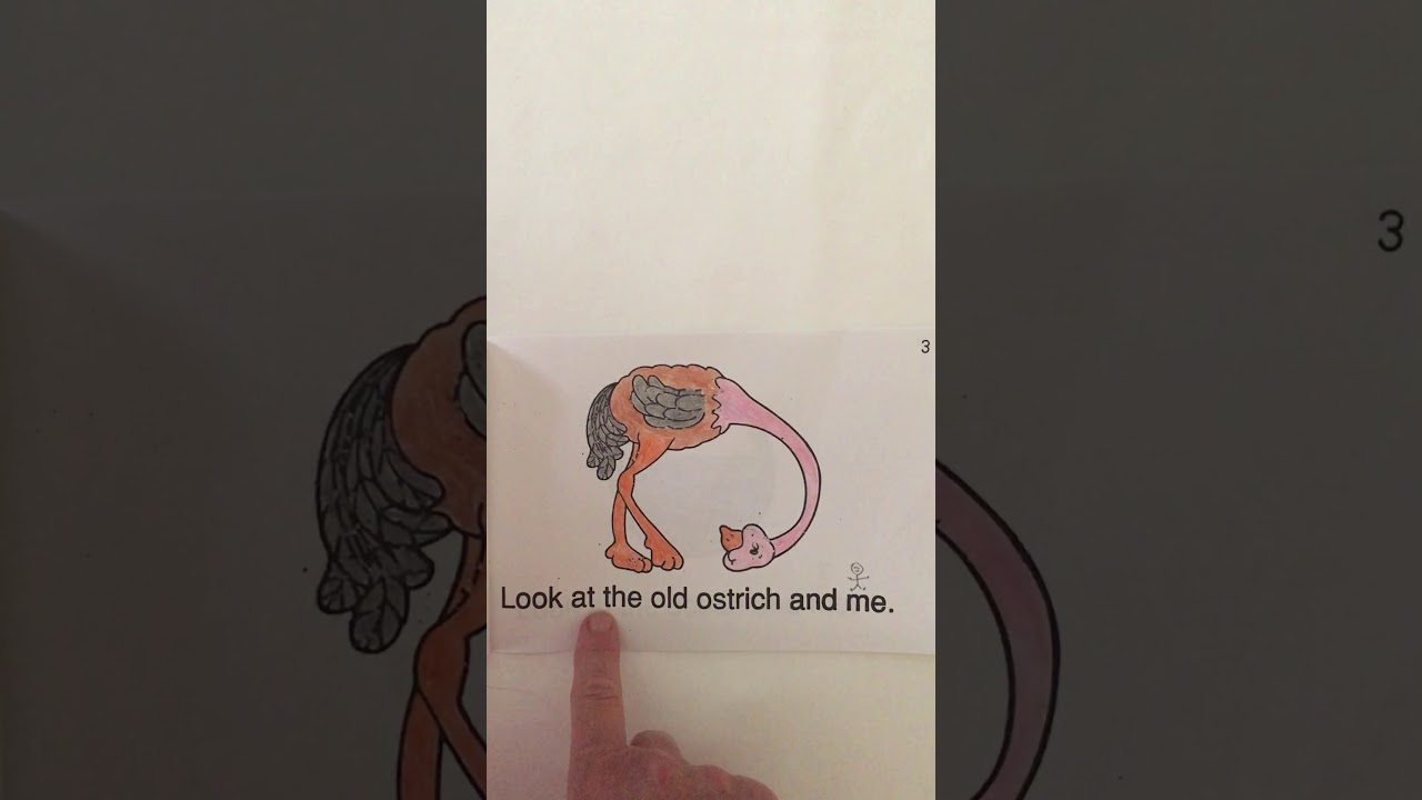 Letter O words and sight words. - YouTube
