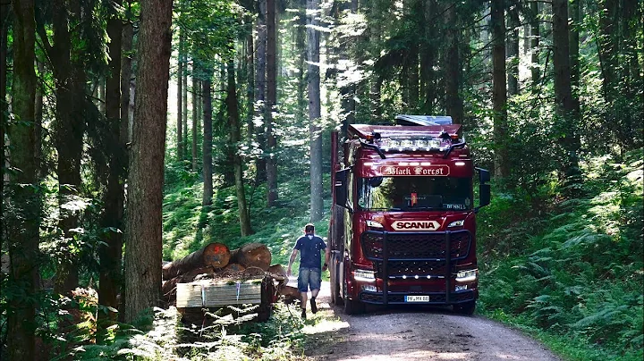 Timber Trucking in the Black Forest with Dennis | ...