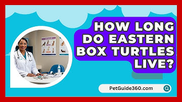 How Long Do Eastern Box Turtles Live? - PetGuide360.com