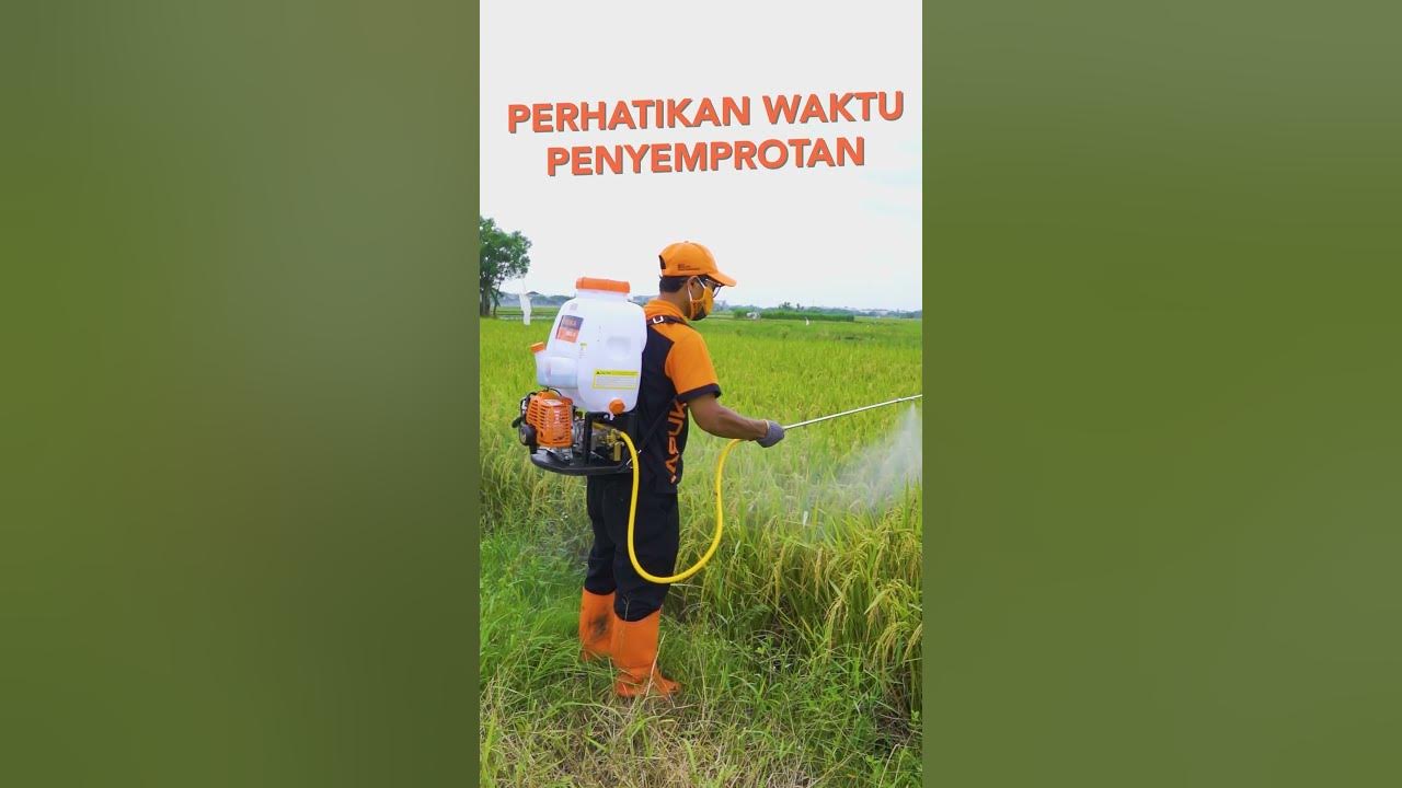 TIPS MENYEMPROT PESTISIDA