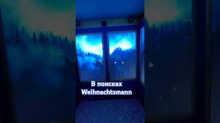 Едем на северный полюс , в поисках немецкого дедушки Мороза  #deutschland #bayern #weihnachten