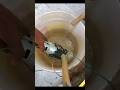 12v dual motor water pump #viral#shortvideo