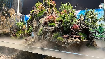 Tiểu Cảnh Bán Cạn terrarium