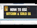 BibianoFX Bitcoin Gold EA Tutorial BibianoFX Bitcoin Gold EA Tutorial