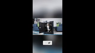 Impact Dog Crate Testimonial