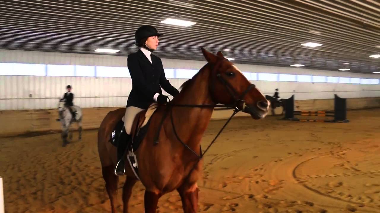 2016 IEA Hunter Seat on the Flat YouTube