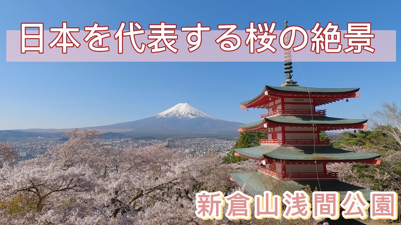 空撮MOVIE】新倉山浅間公園 ー忠霊塔の桜と富士山ー CherryBlossoms
