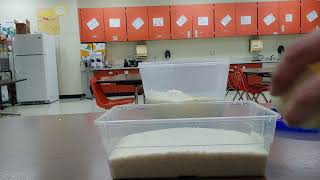 Celebrity Rice Rice Baby 3 Act Task for grades 3-4 focused on capacity Net Worth