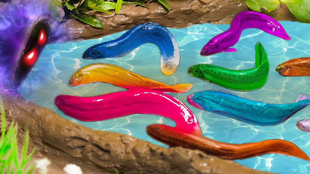 Blue excavator in eel cave raid | Cute Koi Funny Video | Animation Catfish Relaxing Video #16