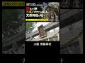 天孫降臨の地!?磐船神社 大阪パワースポット#shorts