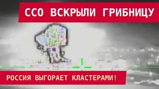 БЕСПРЕЦЕДЕНТНЫЙ УДАР ССО: ОККУПАНТЫ ПОТЕРЯЛИ АРСЕНАЛЫ!