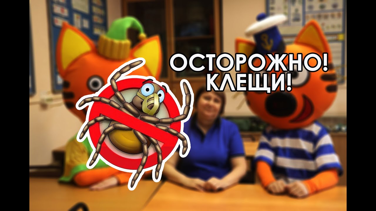 Клещи: угрозы и эффективная защита от опасных паразитов