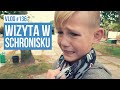 Wizyta w schronisku / VLOG #