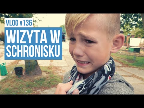 Wideo: Pomóż Swojemu Lokalnemu Schronisku Dla Zwierząt W Tych Praktykach