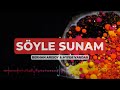 Söyle Sunam - Berhan Arısoy feat. Ayfer Vardar