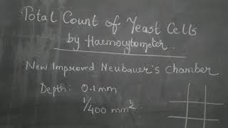 Fy BSc, Microbiology, Sem 1 Paper 101, Practical - Total count on of yeast cell by Haemocytometer