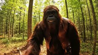 Bigfoot VLOG 1 - Building A Log Cabin