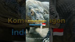 National Animals In Different Countries In The World [Part2] #shorts @SubhankarShortz