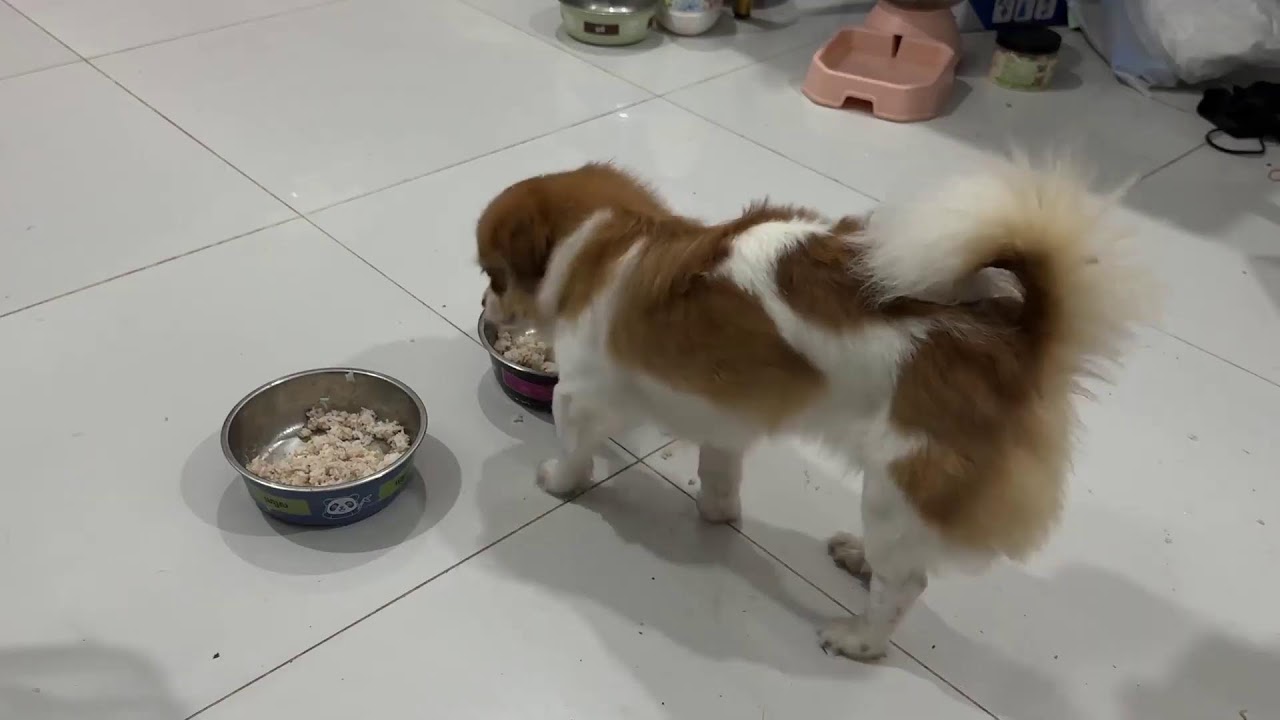 Fluffy supper circle