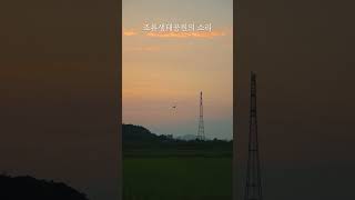 [2024년 DMZ 접경지역 숏폼여행영상 공모전] DMZ 접경지역 김포에서 평화의 소리를 듣다